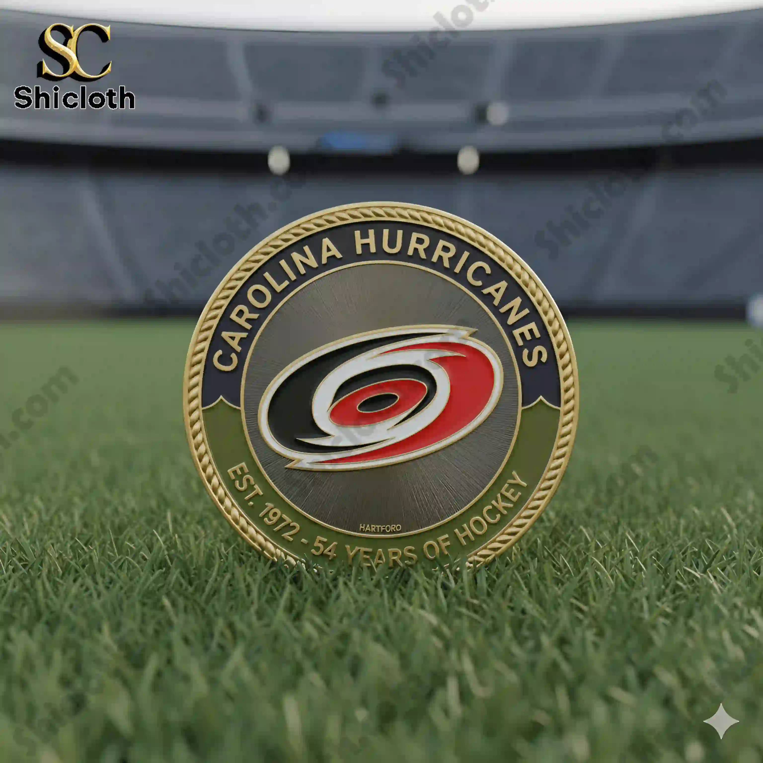 Carolina Hurricanes 54 Years commemorative coin standing on stadium grass